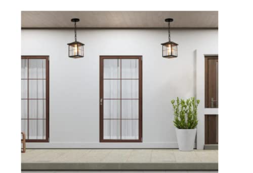 Seeded Glass Shade Black Outdoor Hanging Lantern 1-Light Coastal Pendant