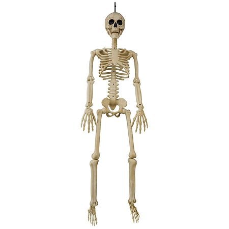 Walgreens 3 Foot Skeleton - 1.0 ea