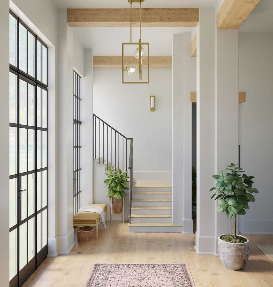 Progress Lighting Atwell Collection 2-Light Clear Glass Luxe Pendant Light Matte Black, 20.50x13.50x13.50