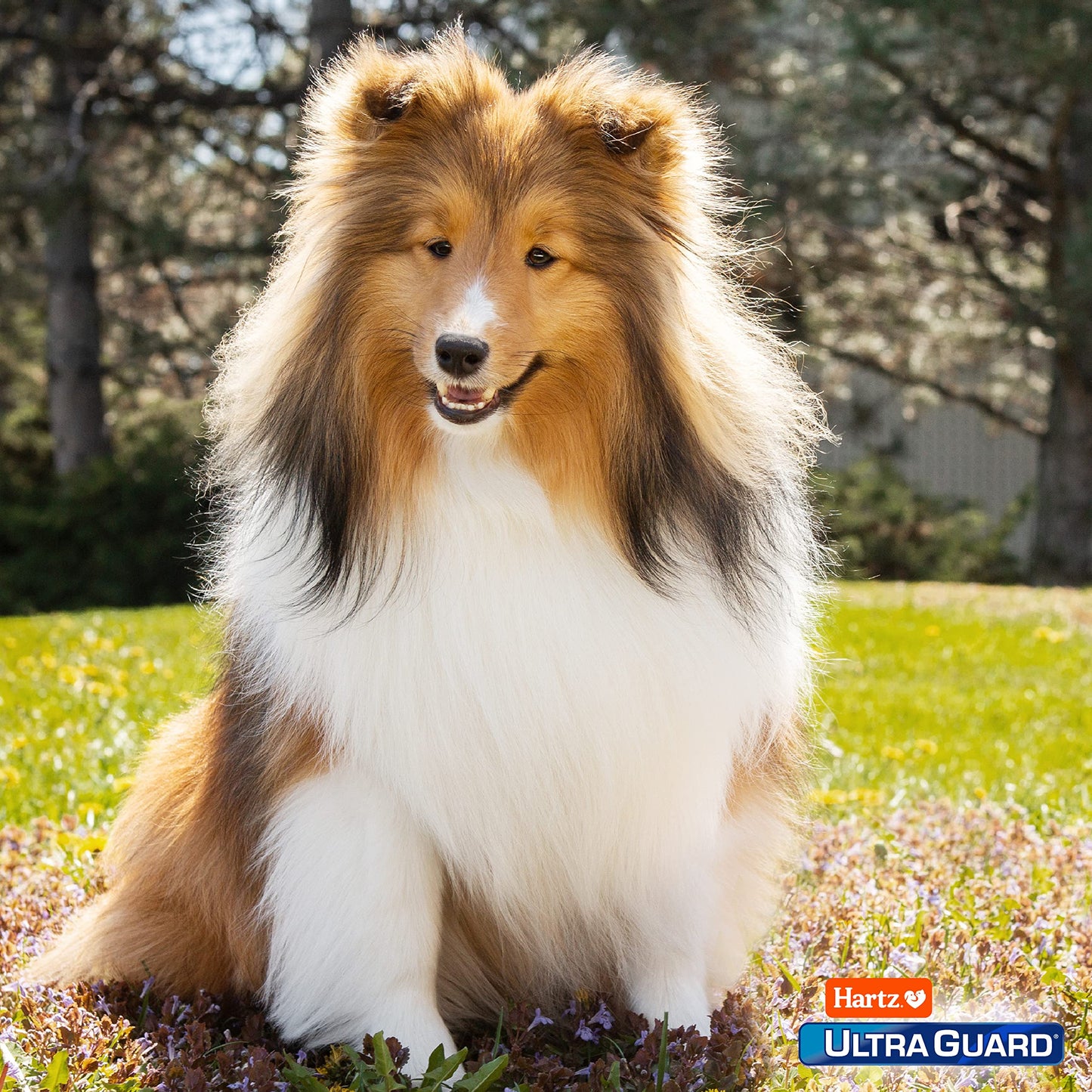 Hartz UltraGuard Pro Topical Flea & Tick Prevention for Dogs and Puppies - 15-30 lbs, 3 Monthly Treatments