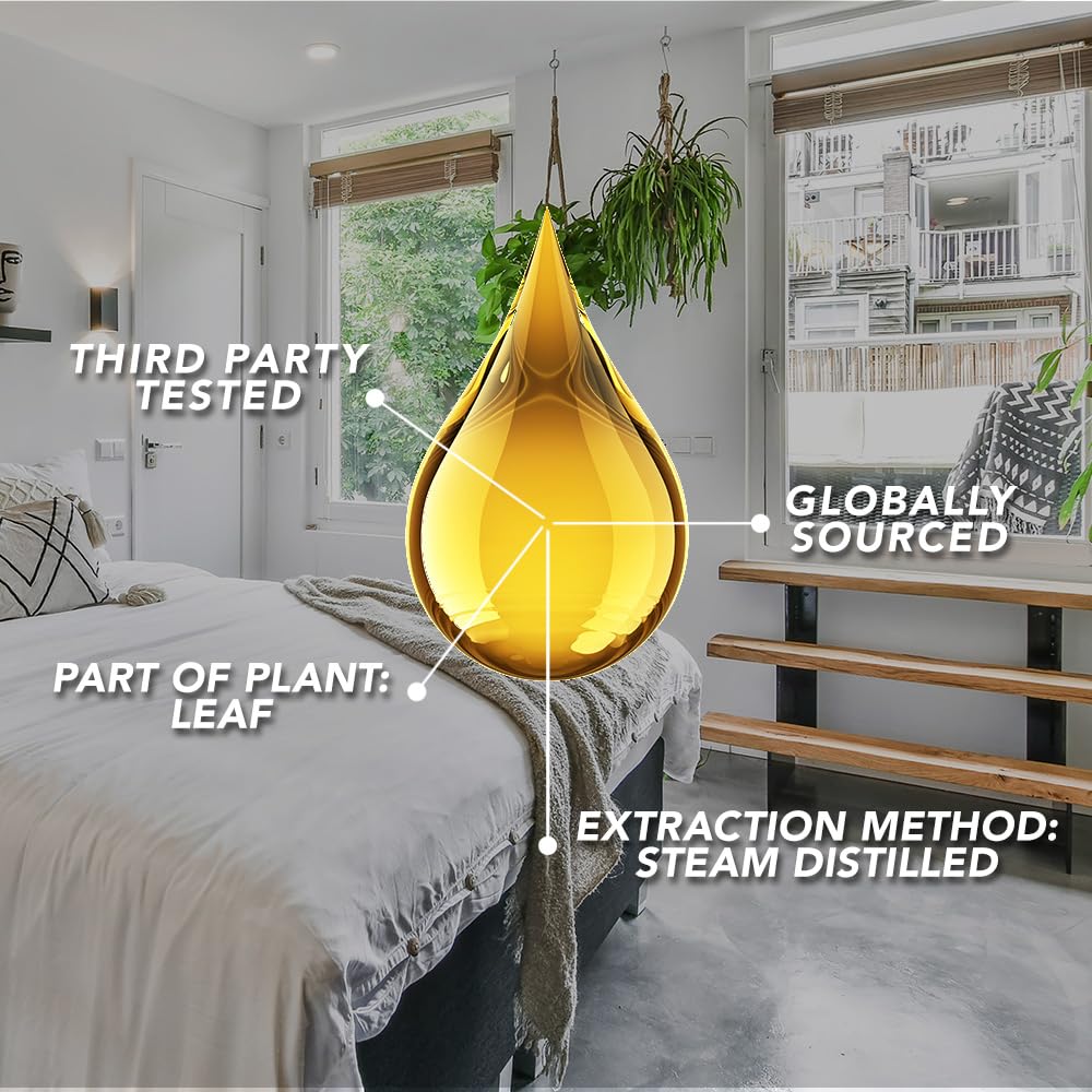 SpaRoom Aromatherapy 100% Pure Essential Oils for Diffusers and Air Freshners, Lively Collection, Set of 3